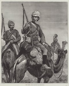 Le corps de chameaux pour l