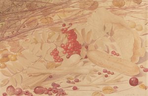 Nature morte avec groseilles, framboises, groseilles rouges, oignons de printemps, cornichon et feuillage