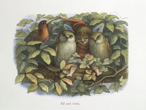 Elfe et hiboux - Richard Doyle
