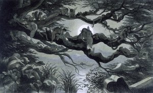 Fées, nymphes et elfes se reposant au clair de lune sur une branche? Illustration de "In Fairy land. A series of pictures from the elf - world" par Richard Doyle 1869-1870 - Richard Doyle