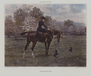 Fleurs de Mai