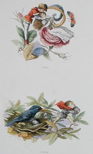 Flirter et voler, illustrations de 