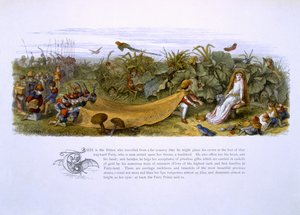 Illustrations de 