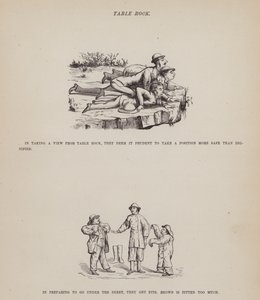 Page de The American Tour of Messrs Brown, Jones and Robinson (gravure)