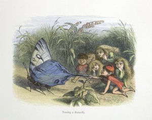 Taquiner un papillon