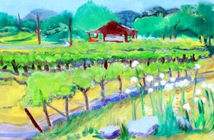 Vignoble sur Zinfandel Lane, Napa, 2019