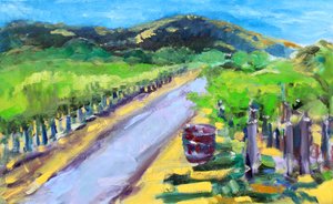 Vignoble avec tonneau, Napa