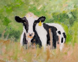 Une vache au repos dans un pâturage paisible - Richard Gombar
