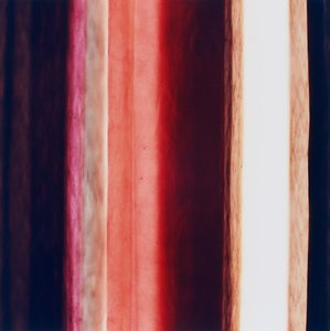 Rayure XI, 2005 - Richard Green