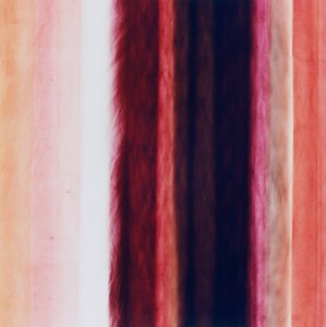 Rayure X, 2005 - Richard Green