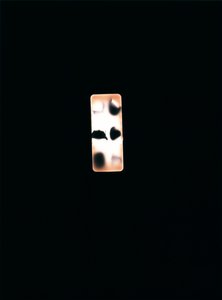 Sans titre, 2004 - Richard Green