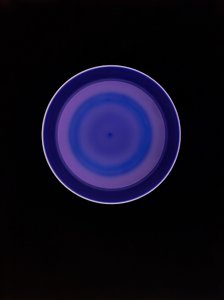 Sans titre, 2004
