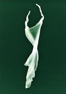 Sans titre, 2004 - Richard Green