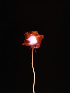 Sans titre, 2007 - Richard Green