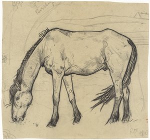Cheval broutant à Noordwijk