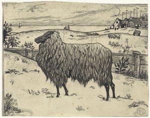 Mouton dans un paysage côtier