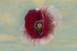  - Richard Urbanski