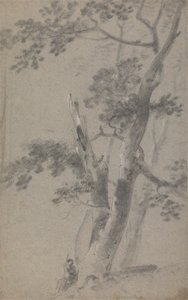 Berger Assis Sous un Arbre - Richard Wilson