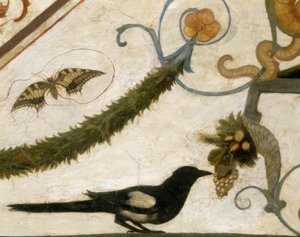 Grotesque, Oiseau