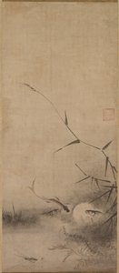 Poissons et algues - Rinkyo