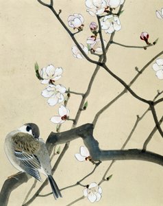 Oiseau - dessin japonais par Riou Chim