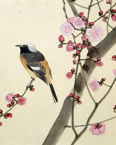 Oiseau - dessin japonais par Riou Chim - Riu Chim