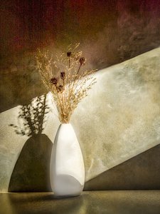 Nature morte aux plantes séchées