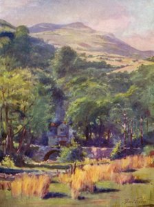 Montagne Duffws (lithographie en couleur)