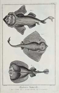 Illustration de 