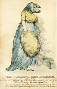 La Dame au Visage de Cochon, célèbre à Londres vers 1815 - Robert Cooper