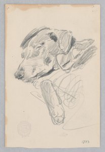 Chien