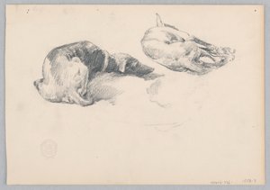 Chiens