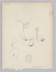 Canards - Robert Frederick Blum