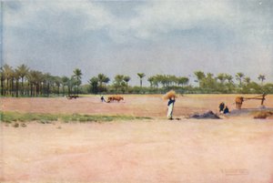Esbet-El-Ekiad - Terre de Goshen, vers 1880, 1904 - Robert George Talbot Kelly