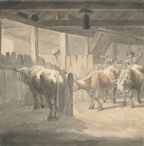 Étable à vaches