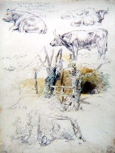 Études de bétail - Robert Hills