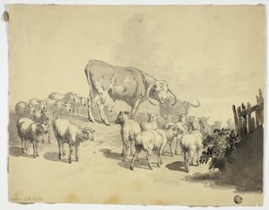 Vaches et moutons