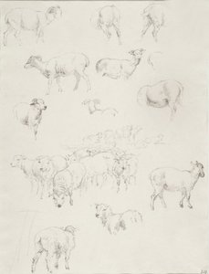 Troupeau de moutons, après 1794