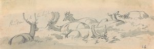 Cerfs et biches au repos - Robert Hills