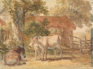 Trois ânes