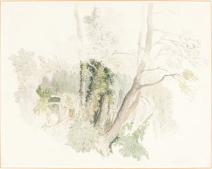 Arbres à Beddington