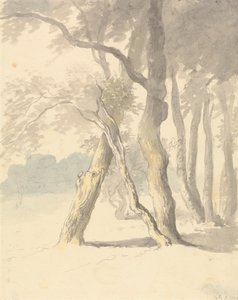 Étude de forêt - Robert Hills