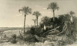 Sur la côte de Floride