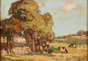 Bétail paissant dans un paysage pastoral