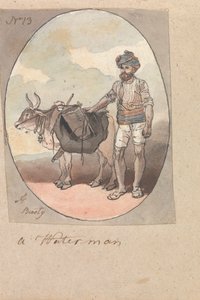 Un batelier avec son bœuf ou taureau