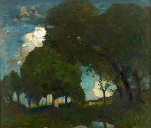 Forêt au clair de lune