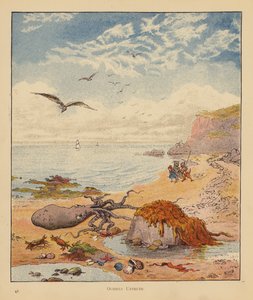 Les pèlerins chatons : Pieuvre mensonge