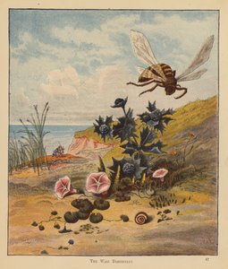 Les pèlerins chatons : Le mécontentement de la guêpe - Robert Michael Ballantyne