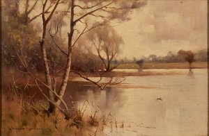 Bouleau argenté au bord du lac