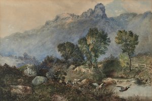 Paysage avec canards colverts - Robert Scott Temple